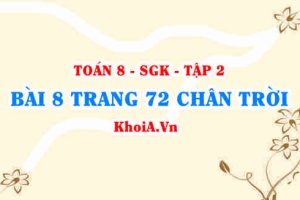 Bài 8 trang 72 Toán 8 Chân trời sáng tạo Tập 2
